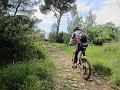 LIGURIAMTB13 (286)